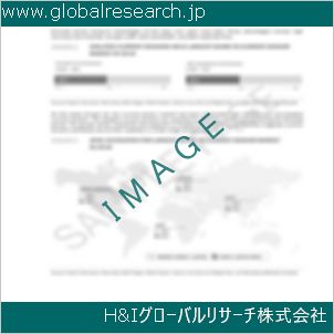 グローバルリサーチ調査資料のイメージ